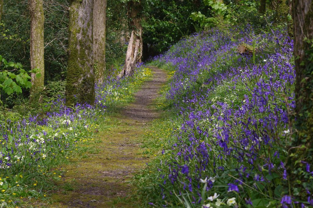 Trenython Manor Resort Fowey Eksteriør billede